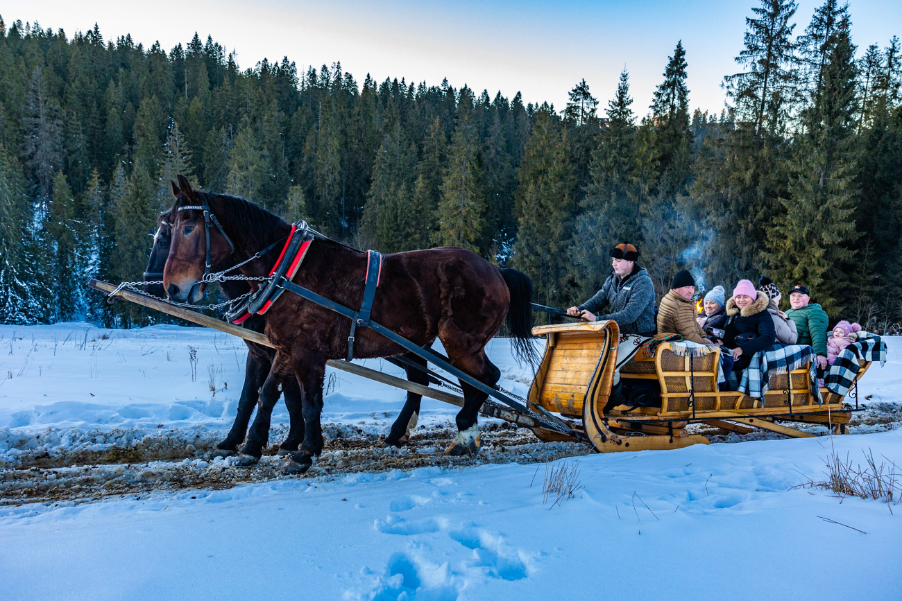 Kuligi Góraleczka Bukowina Tatrzańska