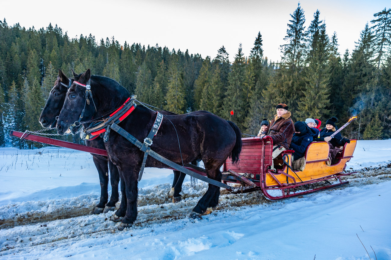 Kuligi Bukowina Tatrzańska Góraleczka