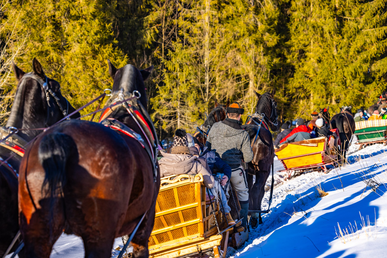 Kuligi Bukowina Tatrzańska Góraleczka