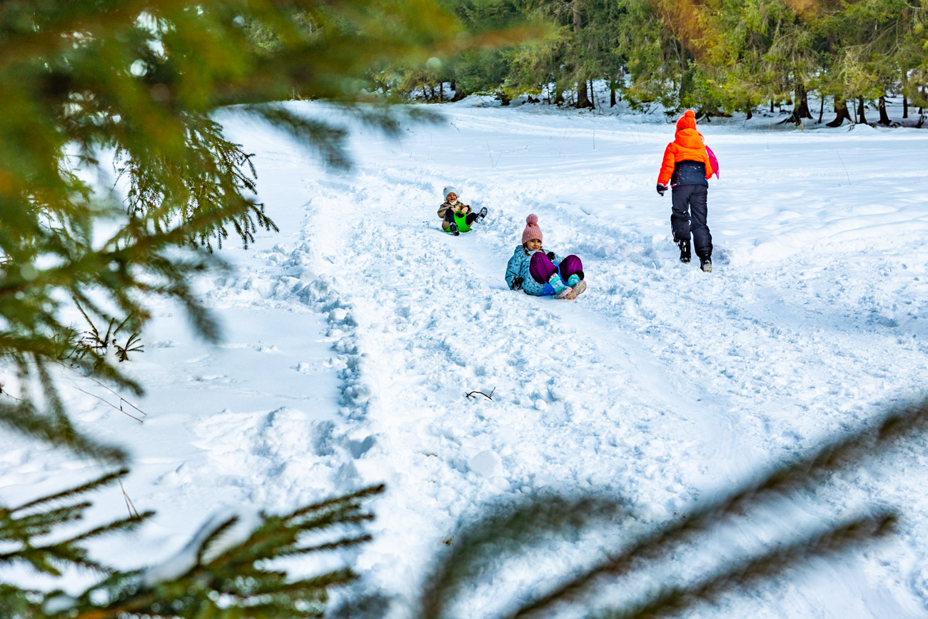 Kuligi Bukowina Tatrzańska Góraleczka